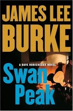 James Burke Swan Peak обложка книги