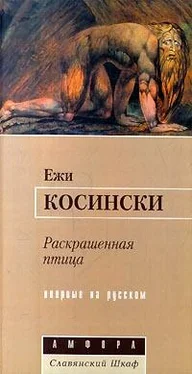 Ежи Косински Раскрашенная птица обложка книги