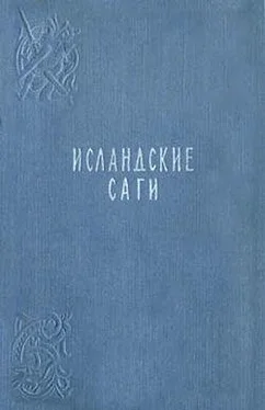 Исландские саги Сага о людях из Лаксдаля обложка книги