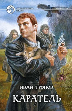 Иван Тропов Каратель обложка книги