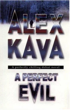 Alex Kava A Perfect Evil обложка книги