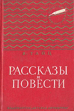 Яков Тайц Под горой Гедимина обложка книги