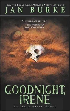 Jan Burke Goodnight, Irene обложка книги