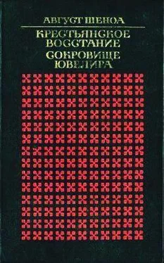 Август Шеноа Сокровище ювелира обложка книги