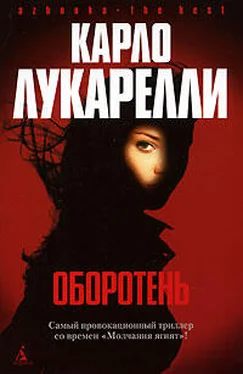 Карло Лукарелли День за днем обложка книги