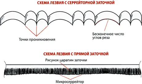 ПРАВИЛЬНЫЙ И НЕПРАВИЛЬНЫЙ СЕРРЕЙТОР Диалоги на эту тему можно нередко услышать - фото 5