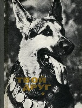 К. Глиер Твой друг (Сборник по собаководству, 1973 г.) обложка книги