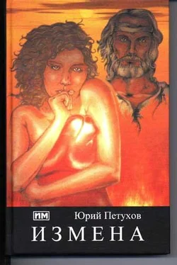 Юрий Петухов Измена, или Ты у меня одна обложка книги