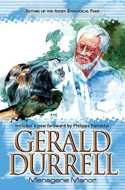 Gerald Durrell Menagerie Manor обложка книги