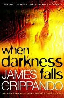 James Grippando When Darkness Falls обложка книги