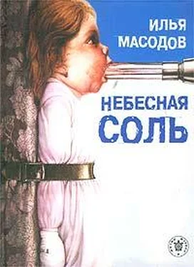 Илья Масодов Небесная соль (сборник) обложка книги