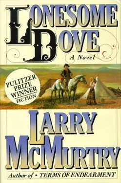 Larry McMurtry Lonesome Dove обложка книги