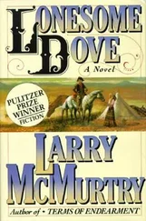 Larry McMurtry - Lonesome Dove