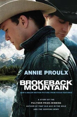 Annie Proulx BrokebackMountain обложка книги