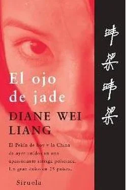 Diane Liang El Ojo De Jade обложка книги