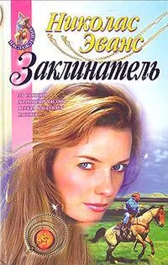 Николас Эванс Заклинатель обложка книги