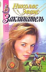 Николас Эванс - Заклинатель