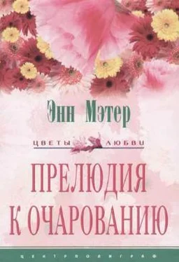 Энн Мэтер Прелюдия к очарованию обложка книги