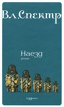 Владимир Спектр Наезд обложка книги