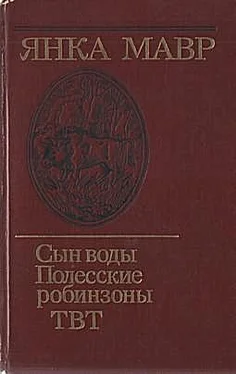 Янка Мавр Полесские робинзоны обложка книги