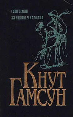 Кнут Гамсун Соки земли обложка книги