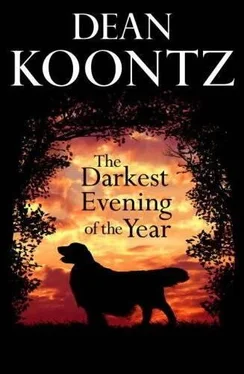 Dean Koontz The Darkest Evening Of The Year обложка книги