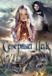 Анна Владимирова - Дар-2 - Северный пик (СИ)