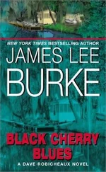 James Burke - Black Cherry Blues