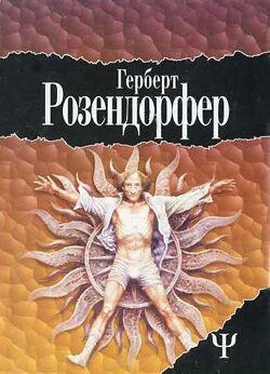 Герберт Розендорфер Латунное сердечко или У правды короткие ноги обложка книги