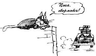 Дело видите ли в том что Настоящие коты в большинстве своем привязываются не - фото 41