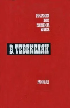 Варткес Тевекелян Ночное приключение обложка книги