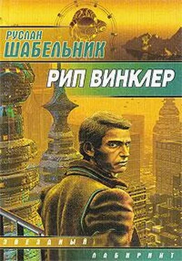 Руслан Шабельник Рип Винклер обложка книги