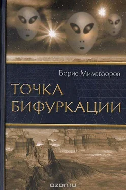 Борис Миловзоров Точка бифуркации обложка книги