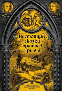 Якоб Гримм Настоящие сказки братьев Гримм. Полное собрание обложка книги