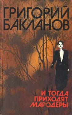 Григорий Бакланов И тогда приходят мародеры обложка книги