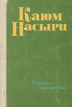 Каюм Насыри Повесть об Абу-Али-сине обложка книги