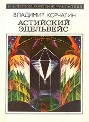 Владимир Корчагин - Астийский Эдельвейс. Научно-фантастический роман