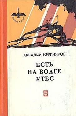 Аркадий Крупняков Есть на Волге утес обложка книги