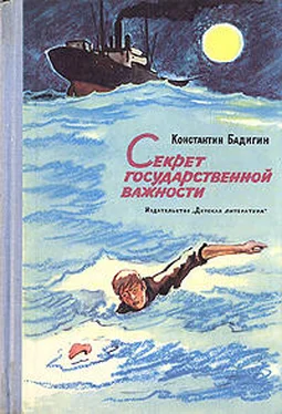 Константин Бадигин Секрет государственной важности