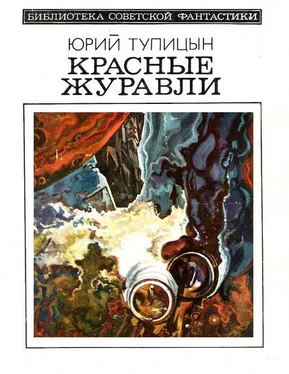 Юрий Тупицын Красные журавли (сборник) обложка книги