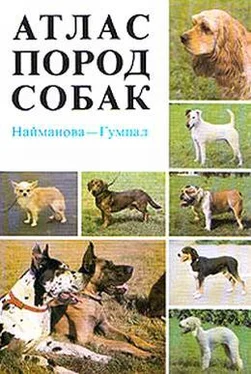 Диана Найманова Атлас пород собак обложка книги