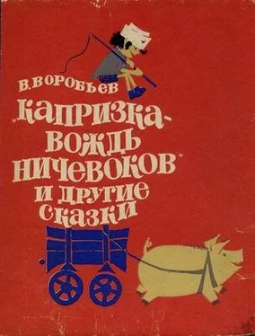 Владимир Воробьев Капризка - вождь ничевоков обложка книги