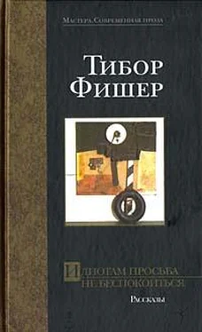 Тибор Фишер Идиотам просьба не беспокоиться обложка книги