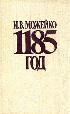 Игорь Можейко 1185 год Восток - Запад обложка книги