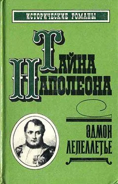 Эдмон Лепеллетье Наследник великой Франции обложка книги