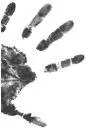 FAITH STOOD OUTSIDE the morgue her finger pressed into one ear to block out - фото 14
