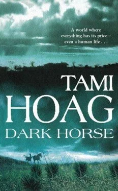 Tami Hoag Dark Horse обложка книги