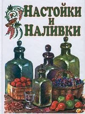 Иван Дубровин Настойки и наливки обложка книги