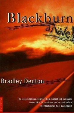 Bradley Denton Blackburn обложка книги