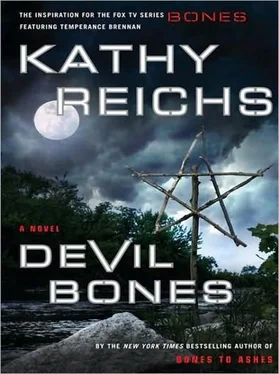 Kathy Reichs Devil Bones обложка книги